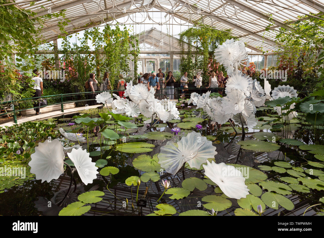 Ethereal White Persian Pond  is a glass sculpture by contemporary USA artist Dale Chihuly, located in the Waterlily House at Kew Gardens. Stock Photo