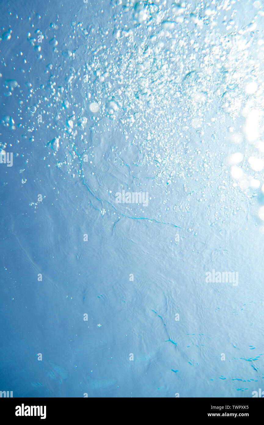 Rising bubbles in water of the swimming pool Stock Photo