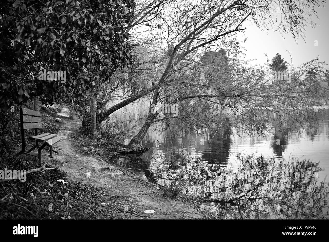 Lake walking path Black and White Stock Photos & Images - Alamy