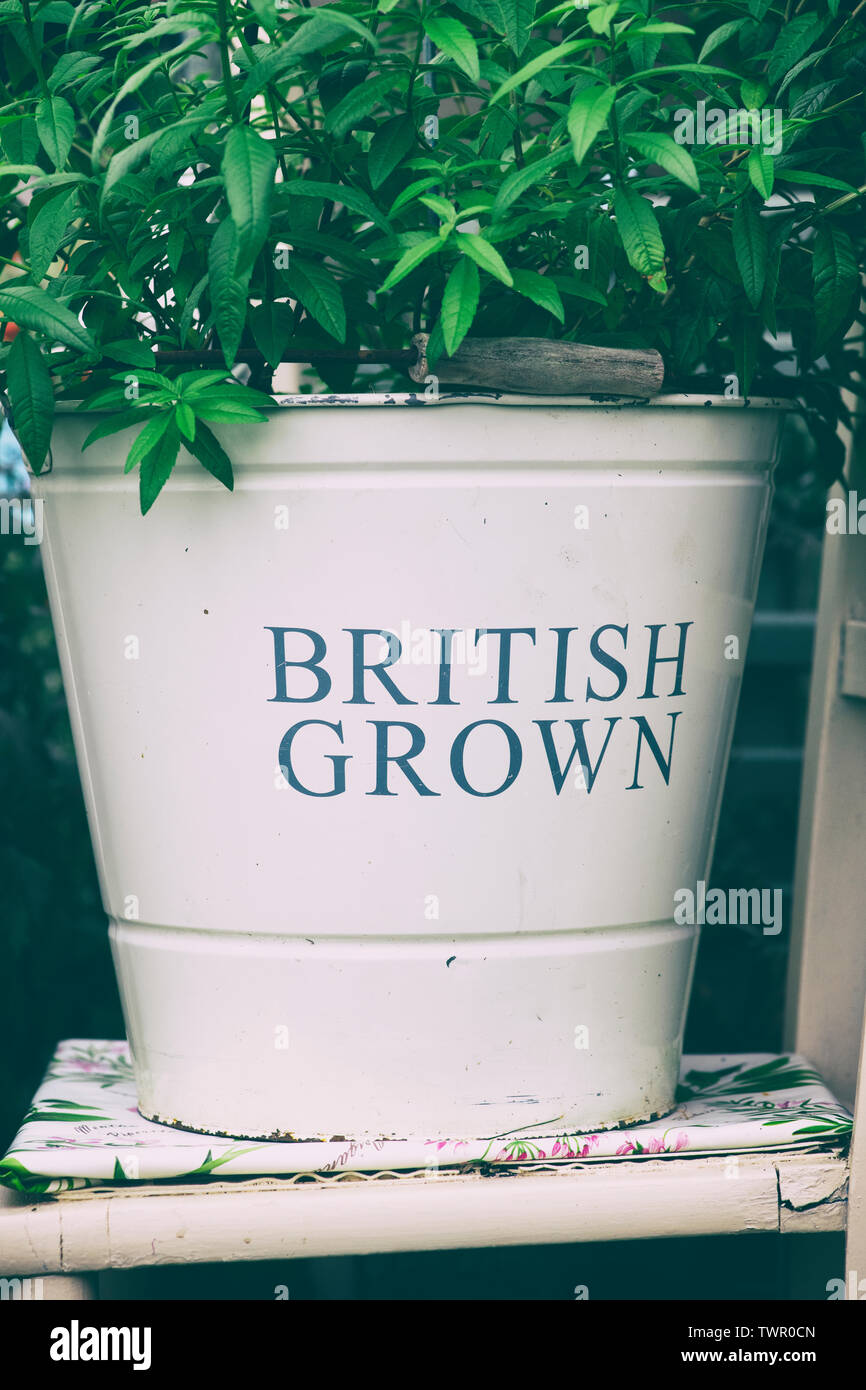 British grown garden metal enamel bucket herb pot on a display at RHS Chatsworth flower show 2019. Chatsworth, Derbyshire, UK. Vintage filter applied Stock Photo