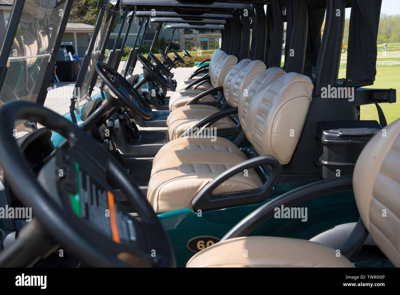 Empty motorized golf carts lined up before a tournament. Stock Photo