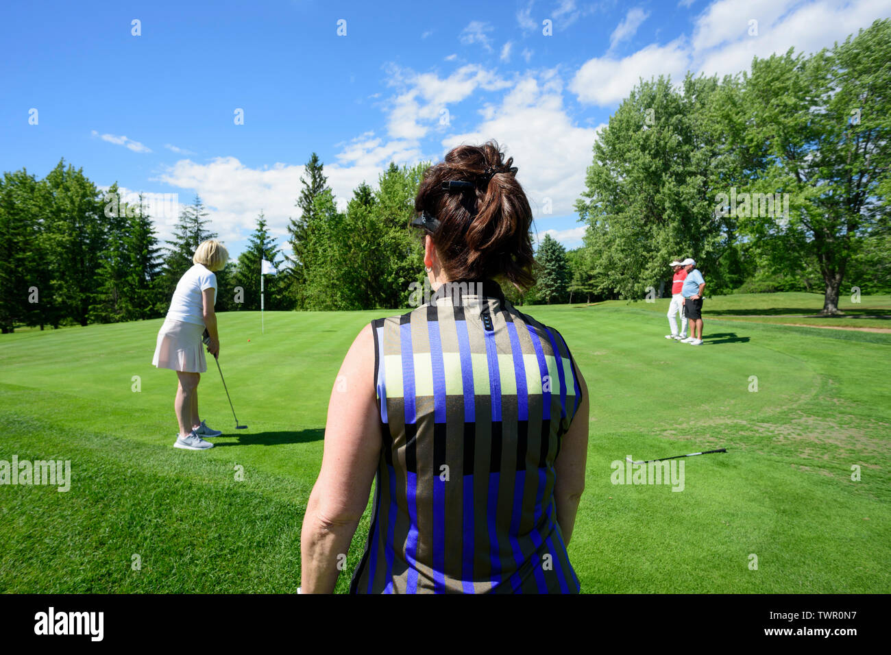 Golf foursome putting on a green. Stock Photo