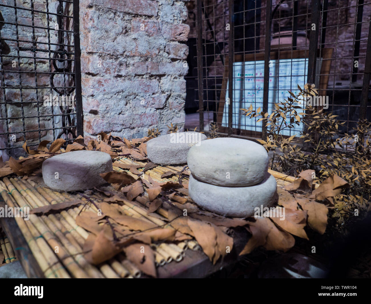 Cheese maturing in an Italian ancient stone cellar. Stock Photo