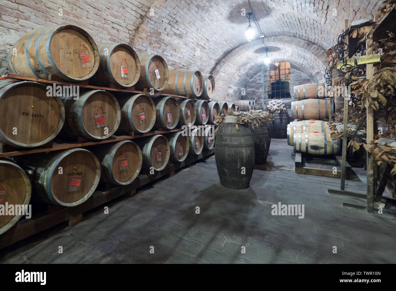 Montepulciano, Italy - April 23, 2019: Oak barrels in an old Italian underground wine cellar. Stock Photo