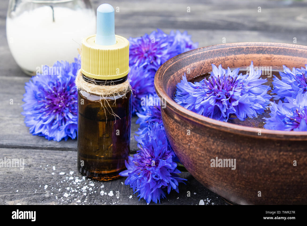 Cornflower essential oil. Cornflower flowers Close-up. Stock Photo
