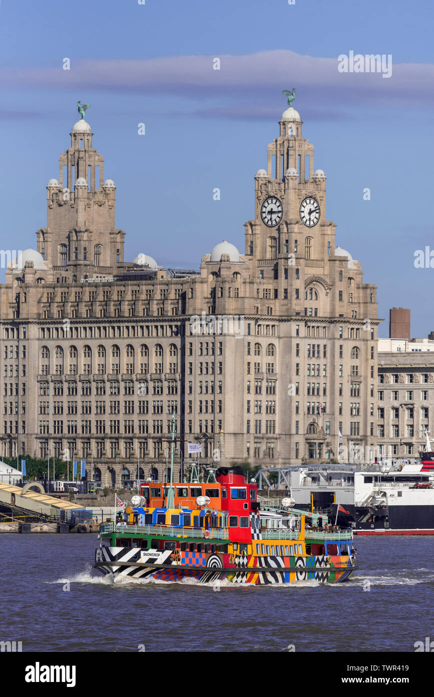 Mersey Dazzle ferry the Snowdrop in the river Mersey at Liverpool pierhead. The Royal Liver building. Stock Photo