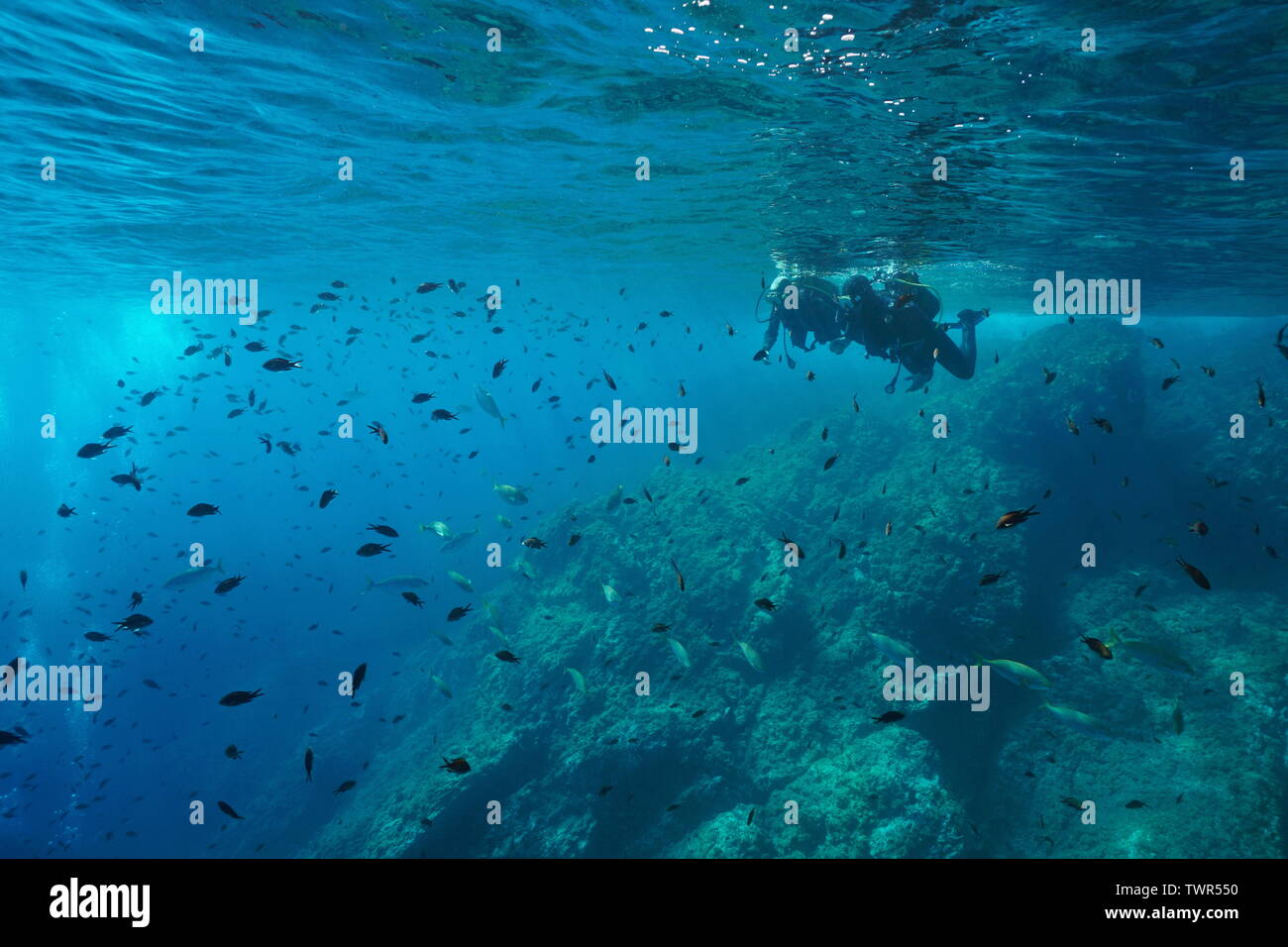 Couple of scuba divers on water surface look at a shoal of fish underwater, Mediterranean sea, Costa Brava, Spain Stock Photo