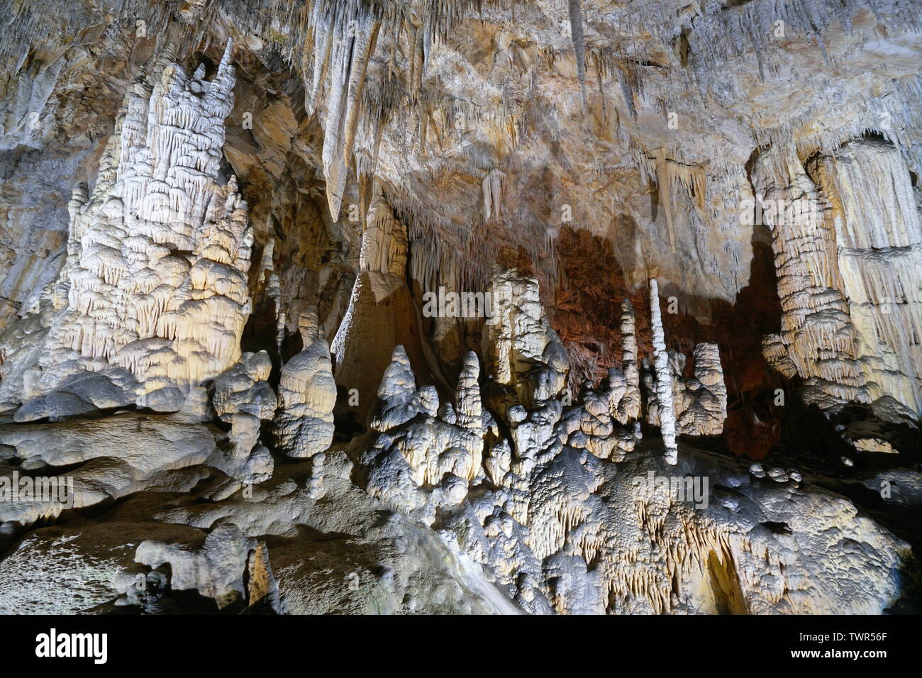 Stalactites and stalagmites in the cave of the Grandes Canalettes, France, Pyrenees-Orientales, Villefranche de Conflent Stock Photo
