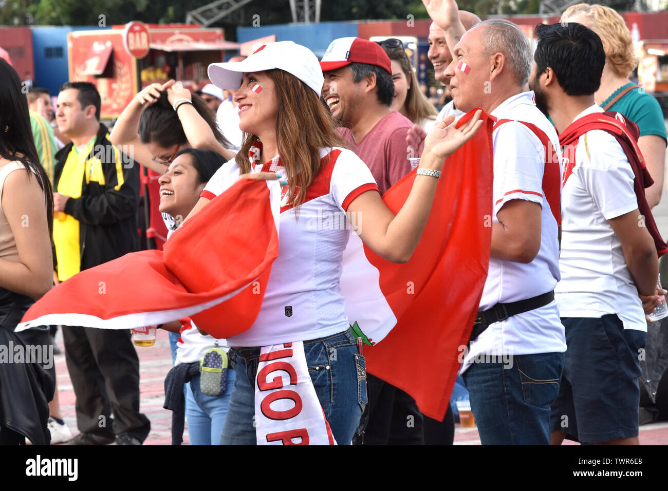 SÃO PAULO, SP - 22.06.2019: TORCIDA ACOMPANHA O JOGO DO BRASIL - Fans from  Brazil and Peru watch the Copa America game this Saturday, (22) at the  Brahma Arena, set up at