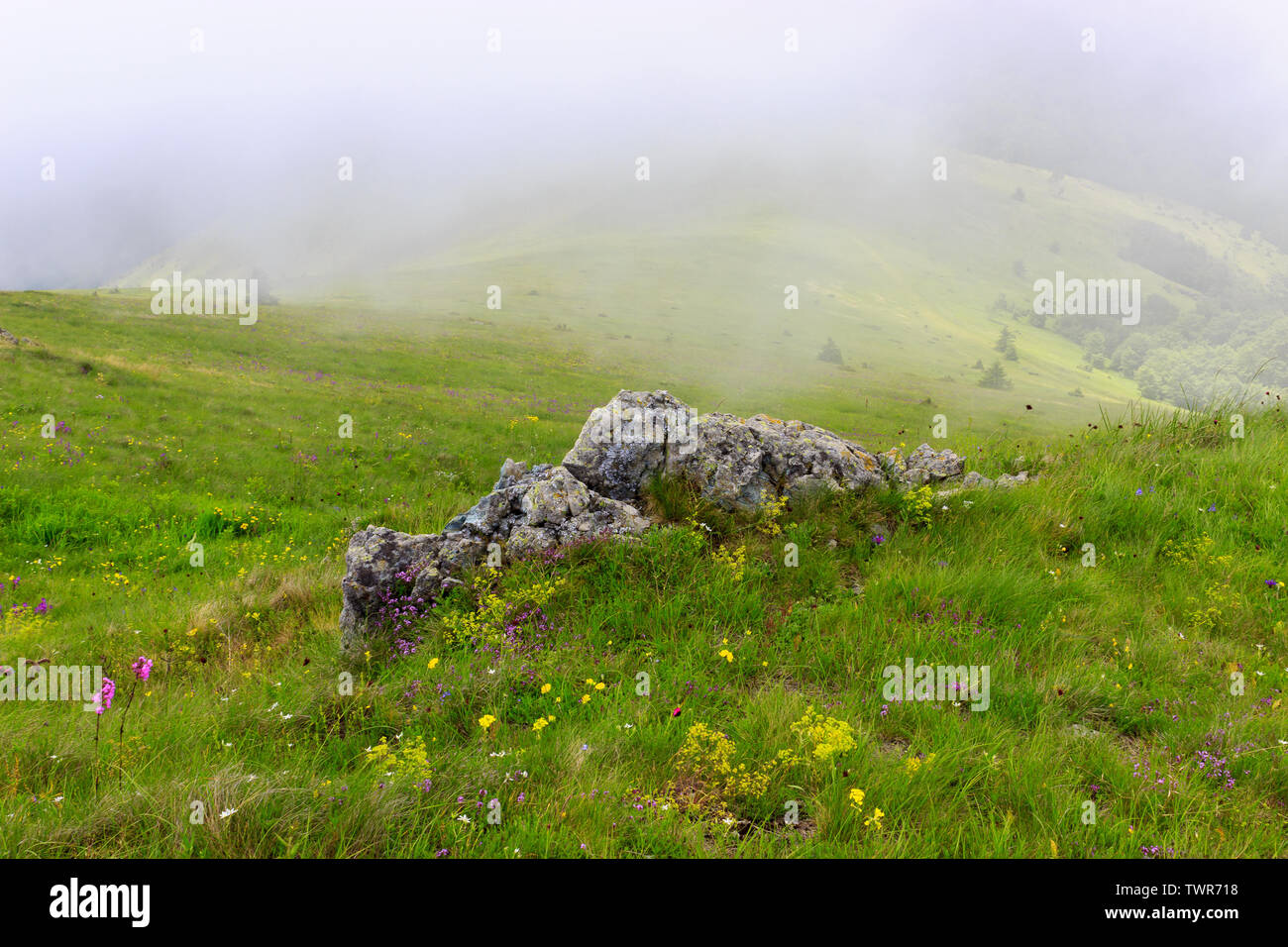 Big rock and flowers on meadow with fog on the hill Stock Photo - Alamy