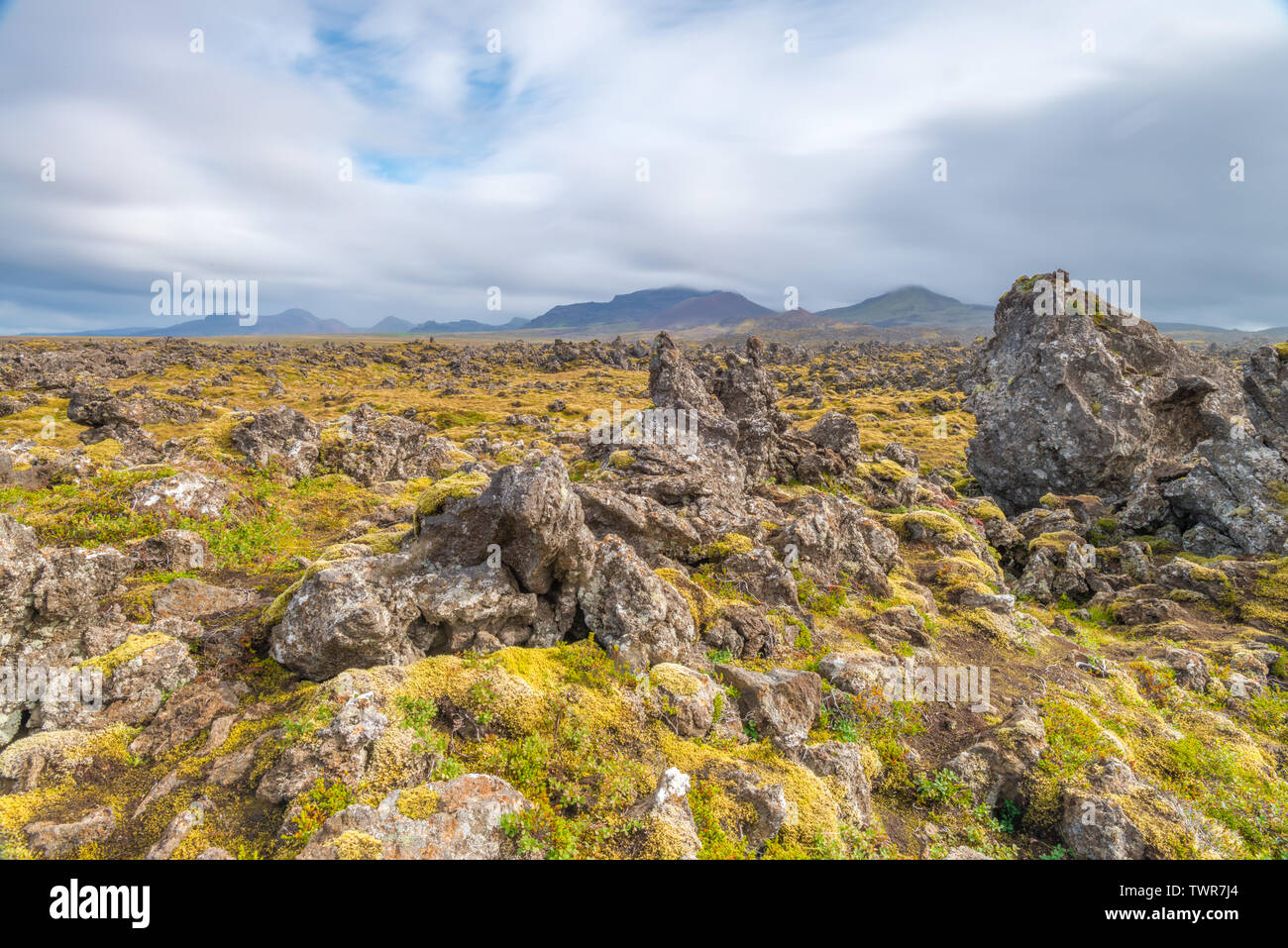 Lunar landscape of dark volcanic rock field, grass and moss carpeting the ground, and dark gloomy mountains in the background. Lord of the Rings scape Stock Photo