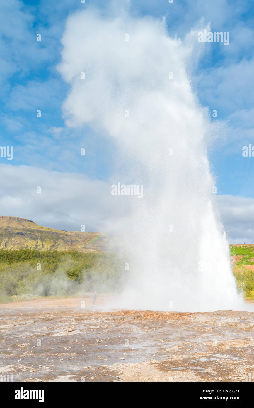 Iceland's Great Geysir erupting hot water into the air. Famous tourist destination Geysir with its biggest geyser during an eruption. Stock Photo