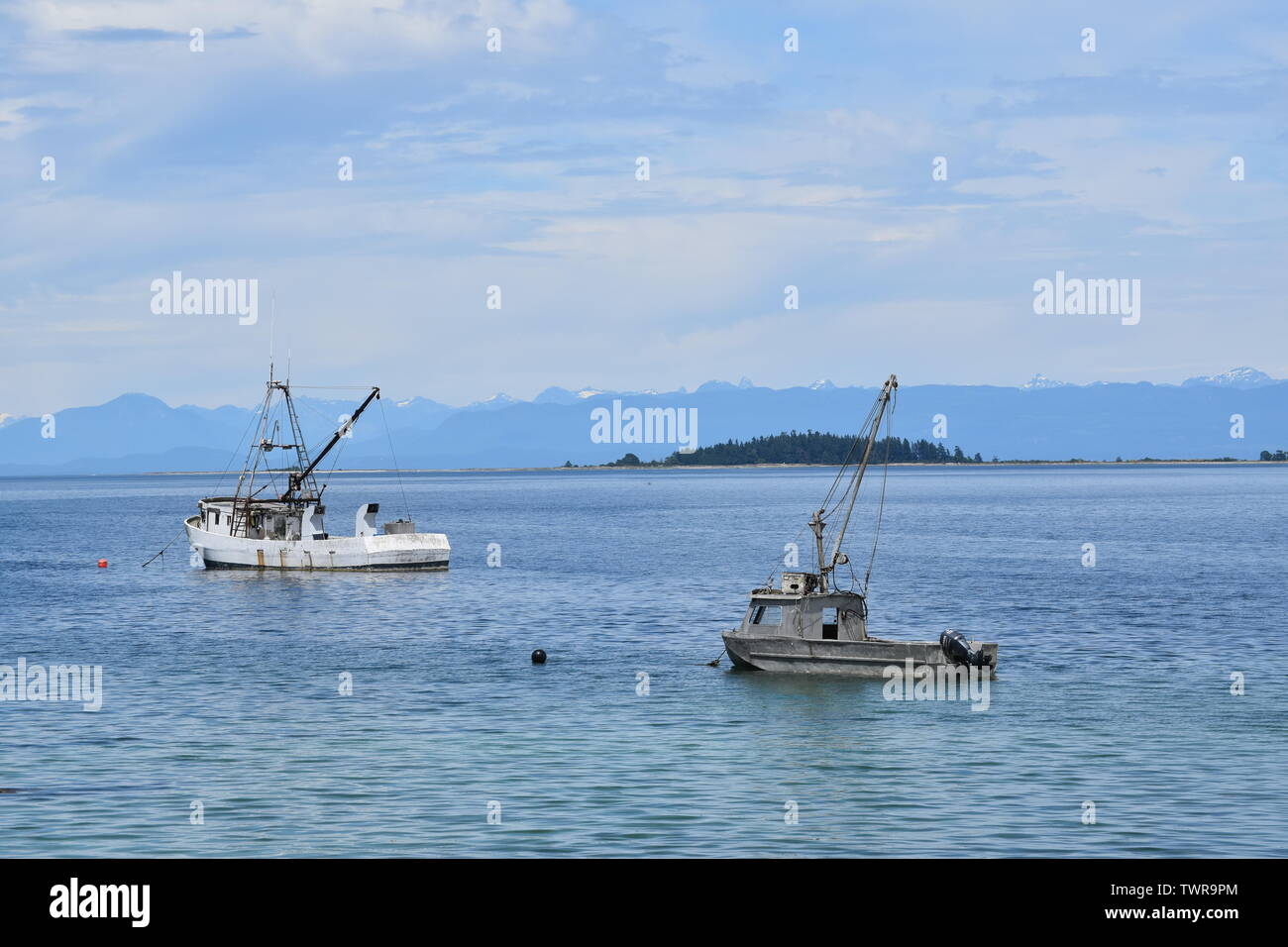Oyster boats moored in Georgia Strait, BC, Canada Stock Photo