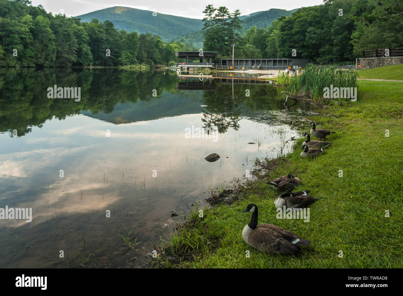 Lake trahlyta vogel state park hires stock photography and images Alamy