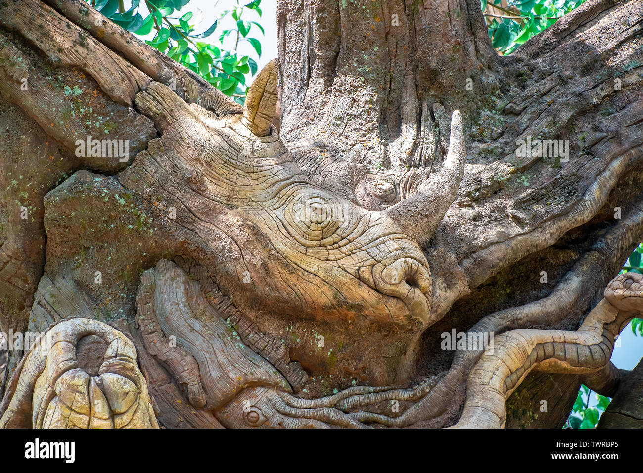 ORLANDO, FLORIDA USA. MAY  03, 2019: Carvings on The Tree of Life at Disney's Animal Kingdom Stock Photo
