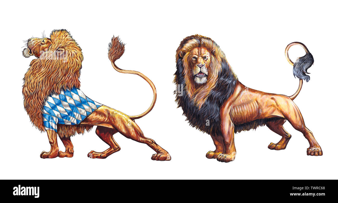 Lion hand painted. 2 Lions illustrations. Big cat acrylic illustration. Stock Photo