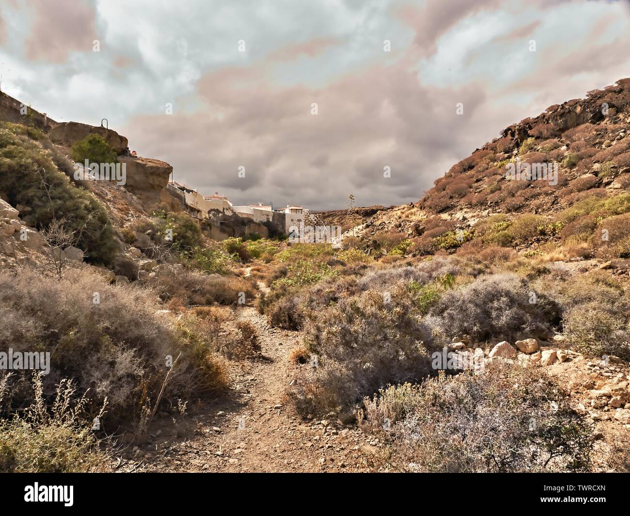 Walk through wild scrubland in the village of Abades in the south of Tenerife. in the distance you can see the first houses, the sky is gray-blue with Stock Photo