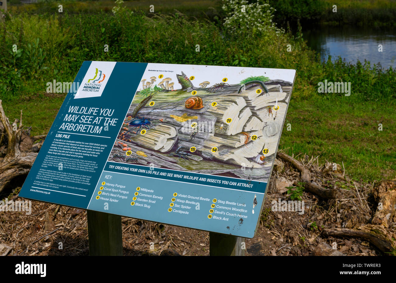 at the National Memorial Arboretum, Alrewas, Staffordshire, England, UK ...