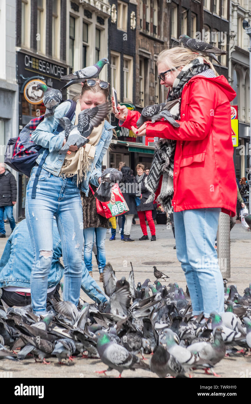 Feeding pigeons land on millennial tourists in Dam Square Amsterdam Netherlands - pigeons on people - pigeons flying near people Stock Photo