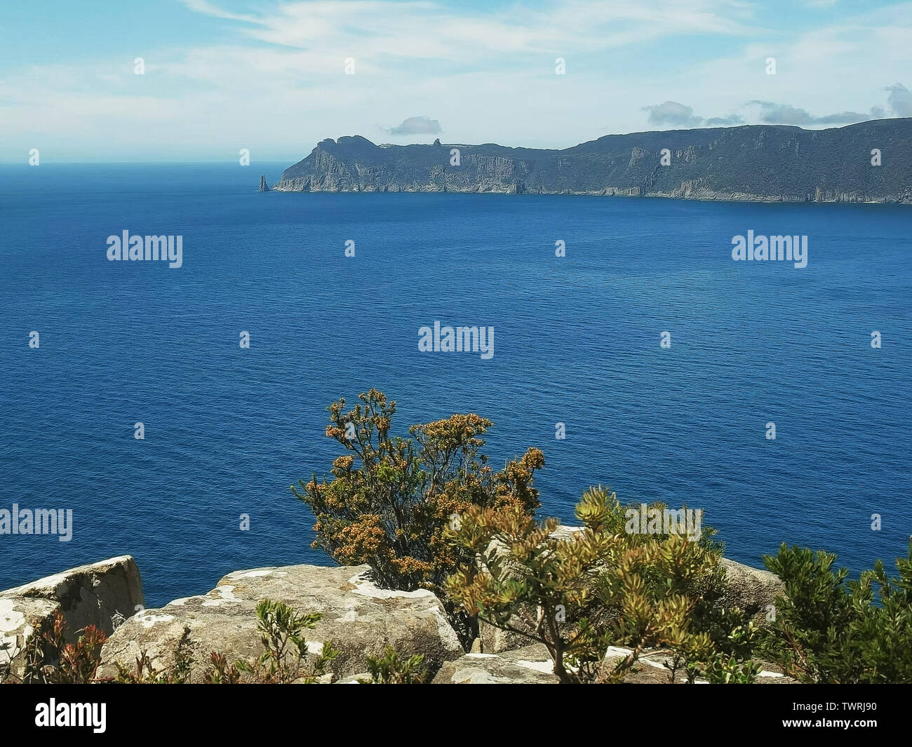 view of cape pillar from the cape hauy track in tasmania Stock Photo Alamy