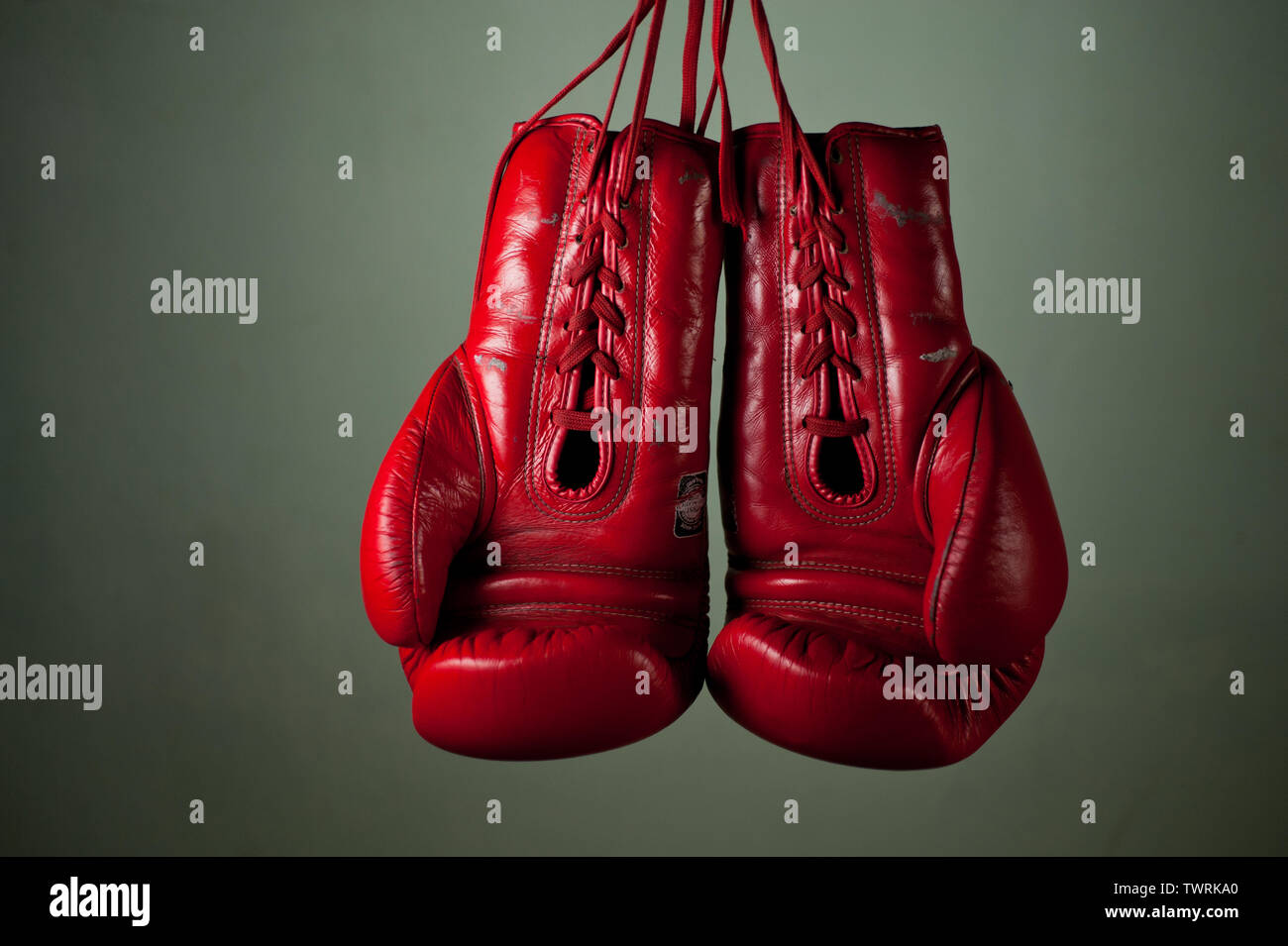 Boxing gloves hanging from laces on a grey background Stock Photo Alamy