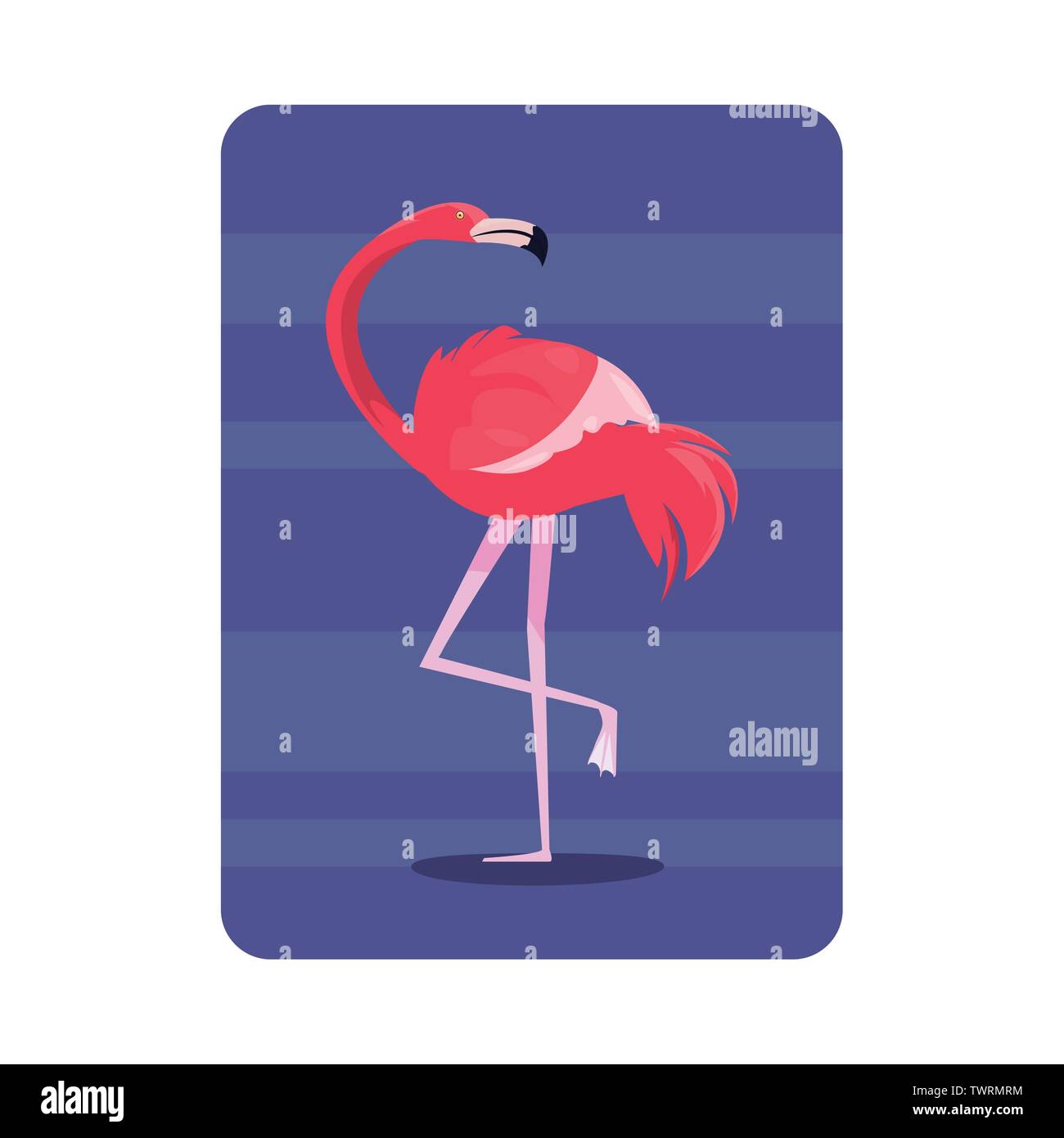 summer time holiday flamingo badge tropical leaves vector illustration ...