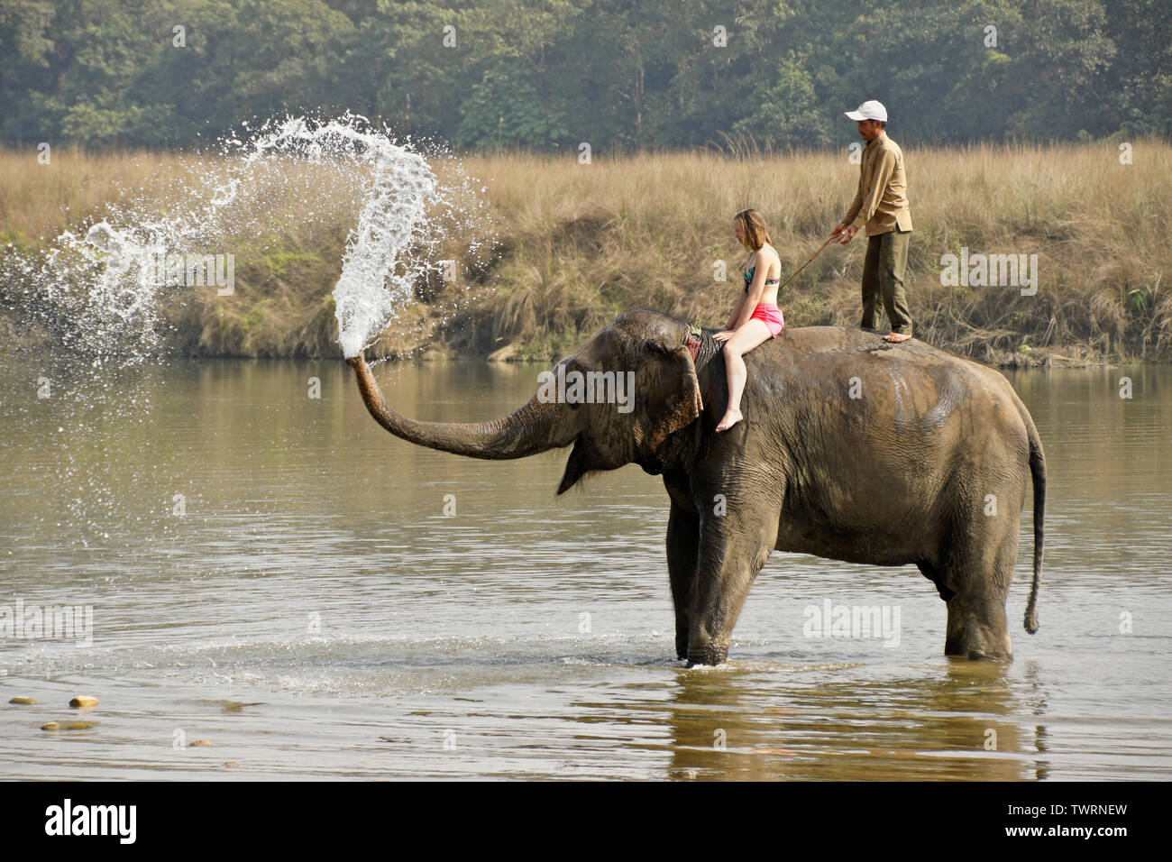 Female tourist and mahout on Asian elephant spraying water in Rapti River, Chitwan National Park, Nepal Stock Photo
