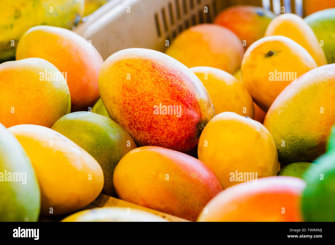 Fleshy fruits hires stock photography and images Alamy