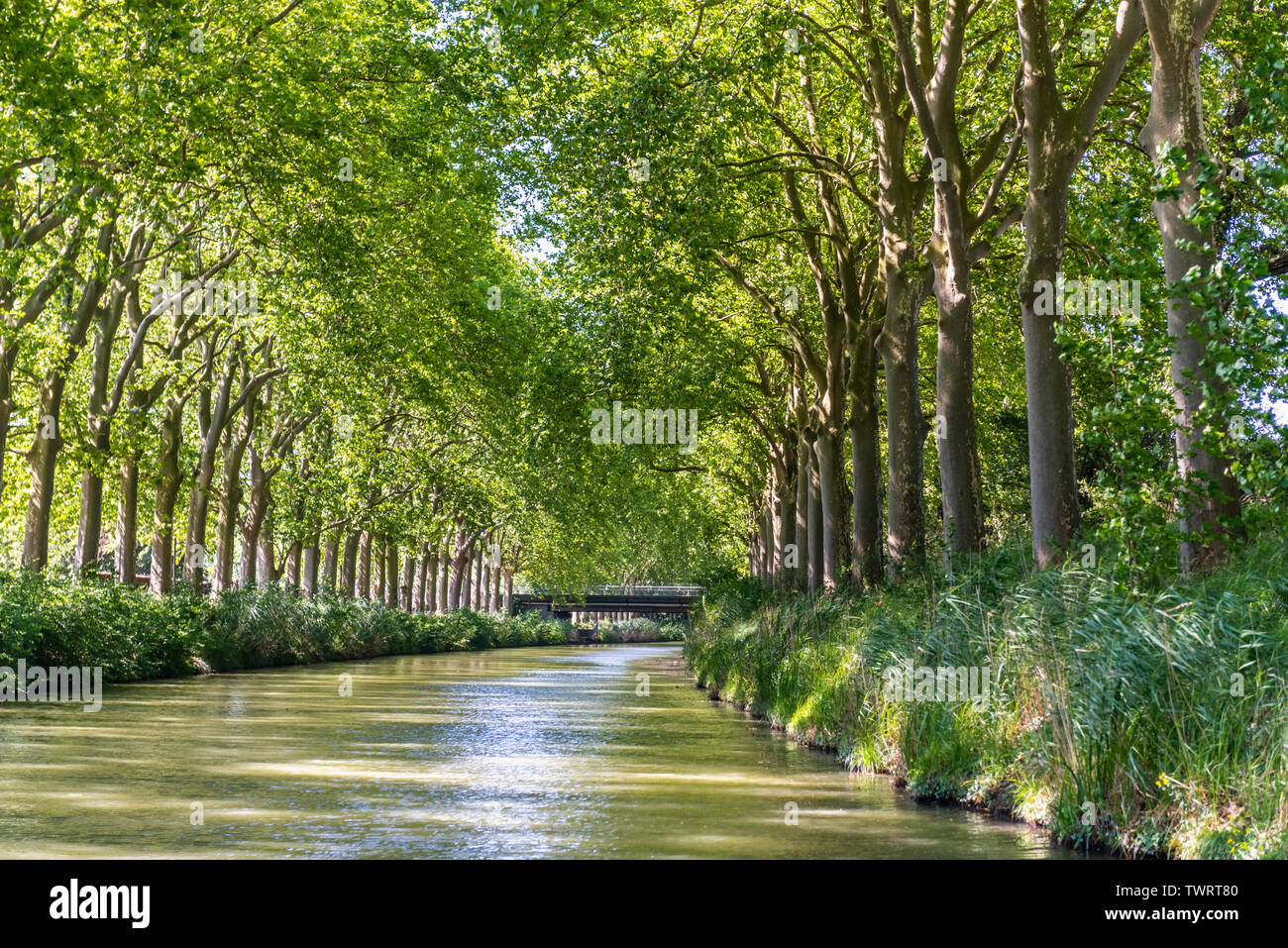 Summer look on Canal du Midi canal in Toulouse, southern Franc Stock Photo