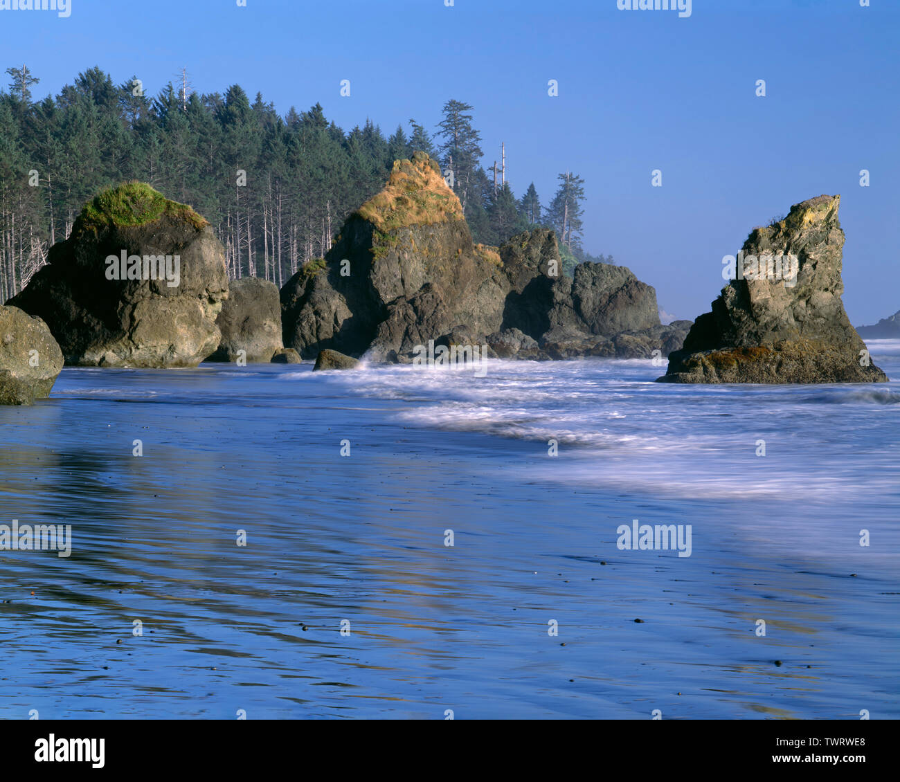 USA, Washington, Olympic National Park, Incoming waves, sea stacks and forested coastline; view south at Ruby Beach. Stock Photo