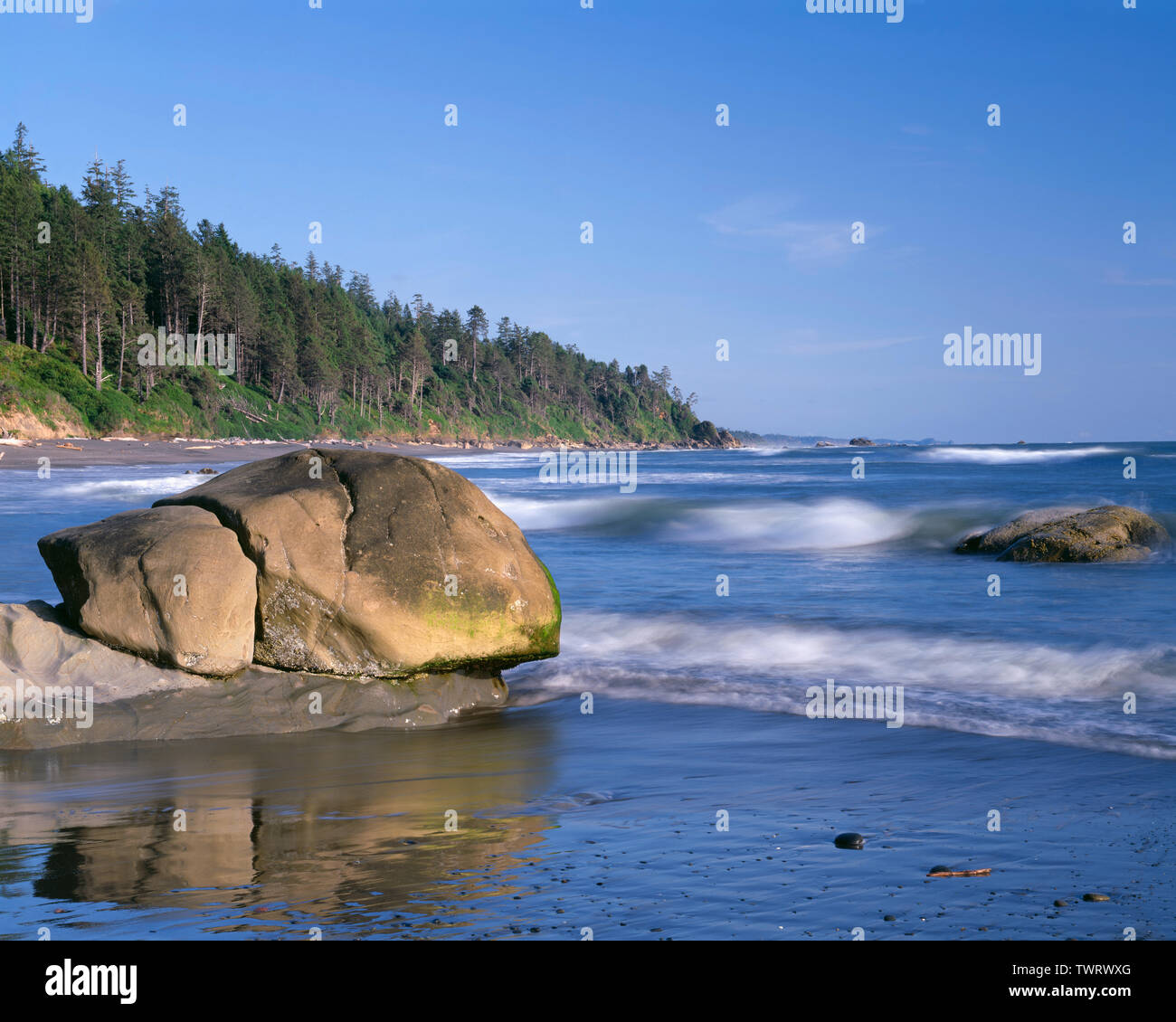 USA, Washington, Olympic National Park, Incoming waves, rocks and forested shoreline to the south at Beach 4. Stock Photo
