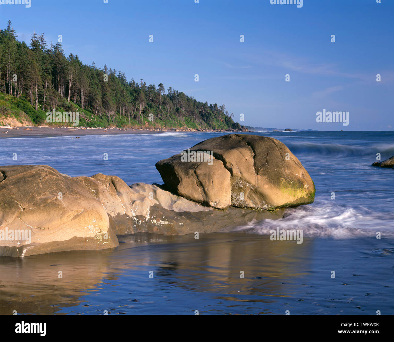 USA, Washington, Olympic National Park, Incoming waves, rocks and forested shoreline to the south at Beach 4. Stock Photo