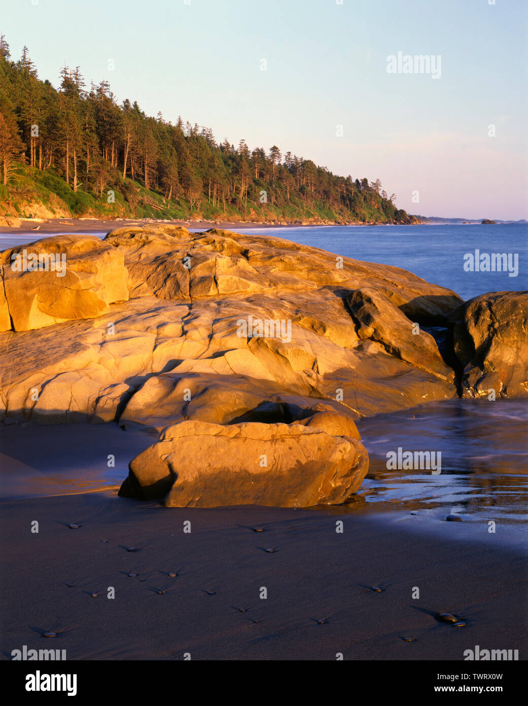 USA, Washington, Olympic National Park, Evening light warms nearby rocks and forested shoreline to the south; Beach 4. Stock Photo