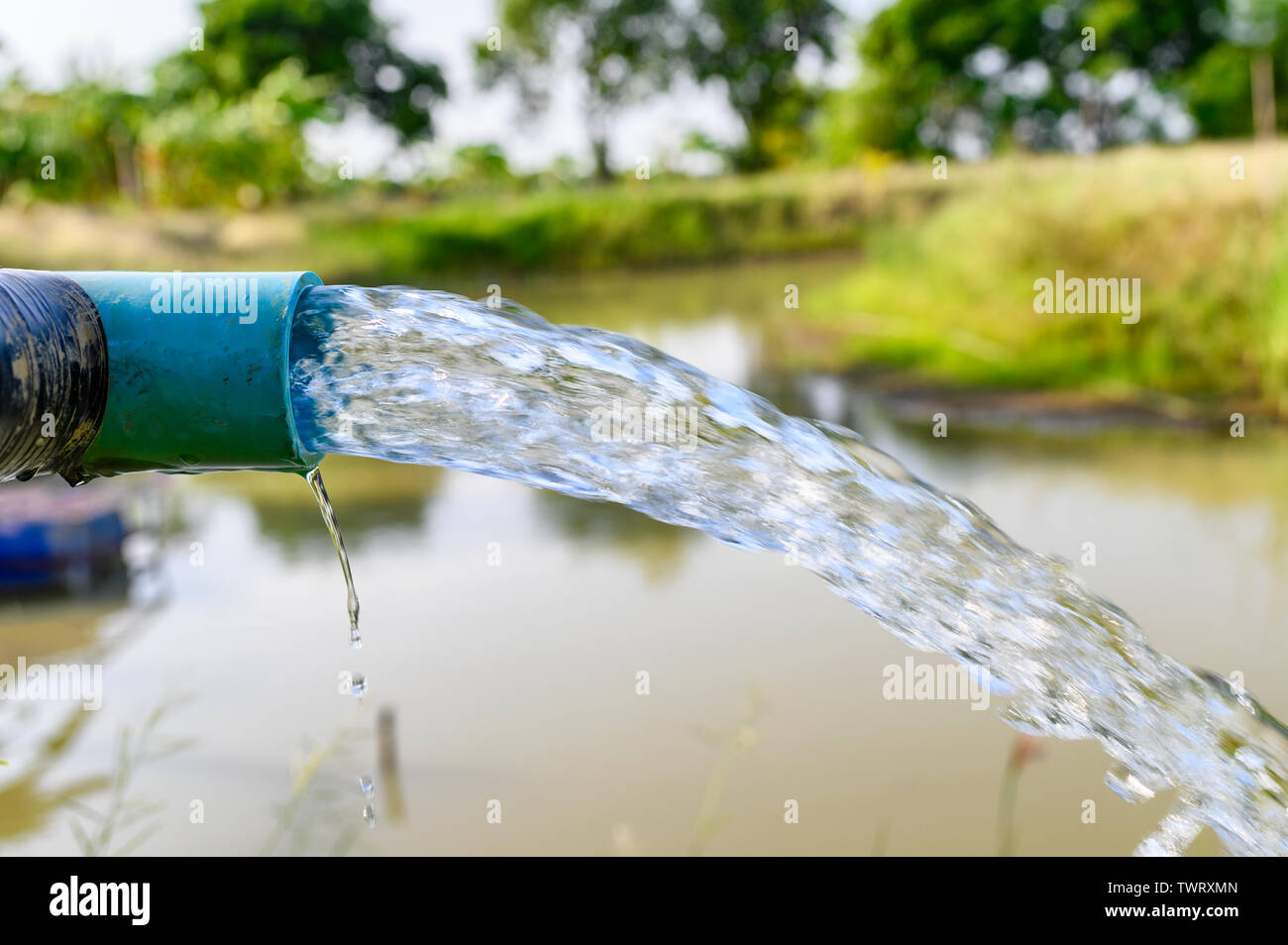 Agriculture blue pipe with groundwater gushing in pond Stock Photo Alamy