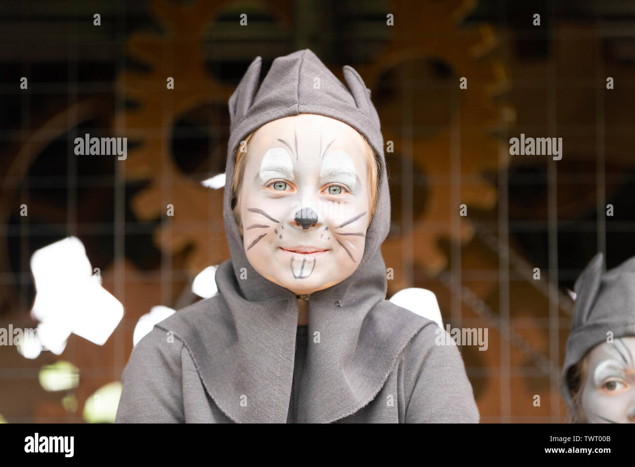 Cat festival in Ieper, Belgium Stock Photo Alamy