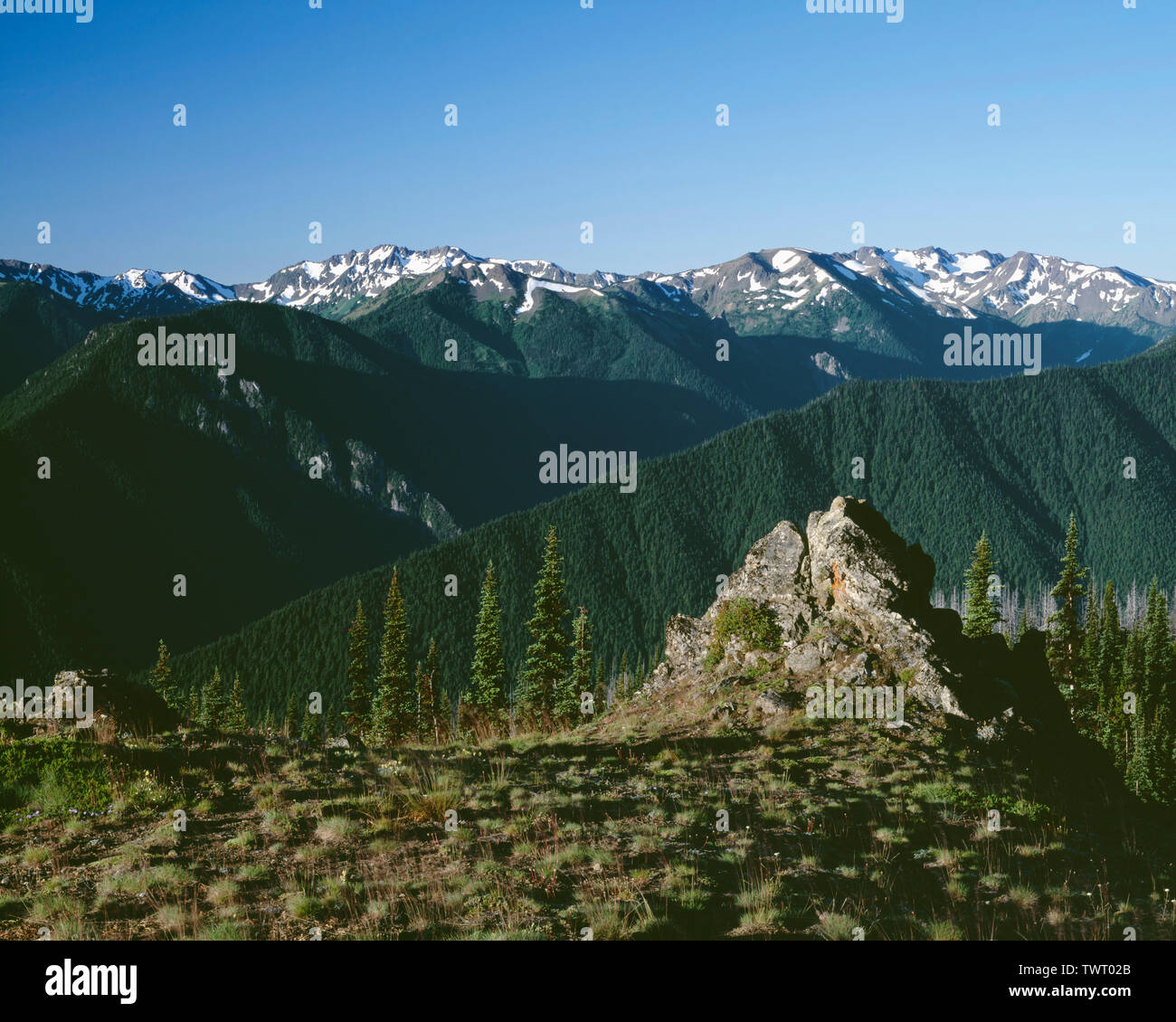 USA, Washington, Olympic National Park, Peaks and ridges of eastern Olympic Mountains, view south from Blue Mountain. Stock Photo