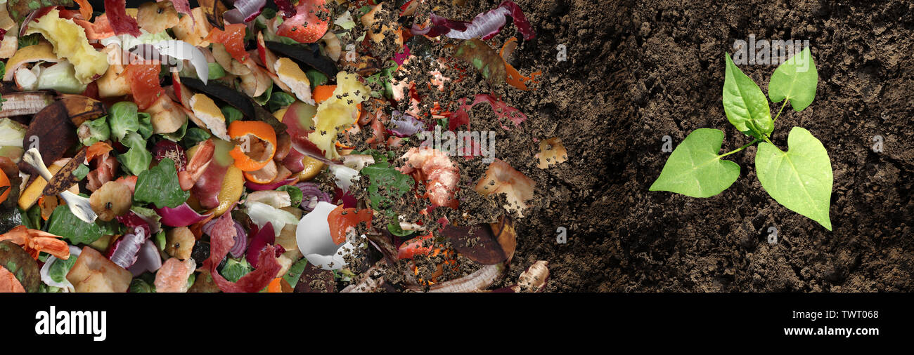 Compost and composted soil cycle as a composting pile of rotting kitchen scraps with fruits and vegetable garbage waste turning into organic. Stock Photo