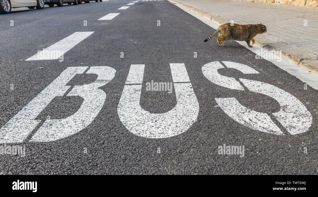 Bus stop marking on road hi-res stock photography and images - Alamy