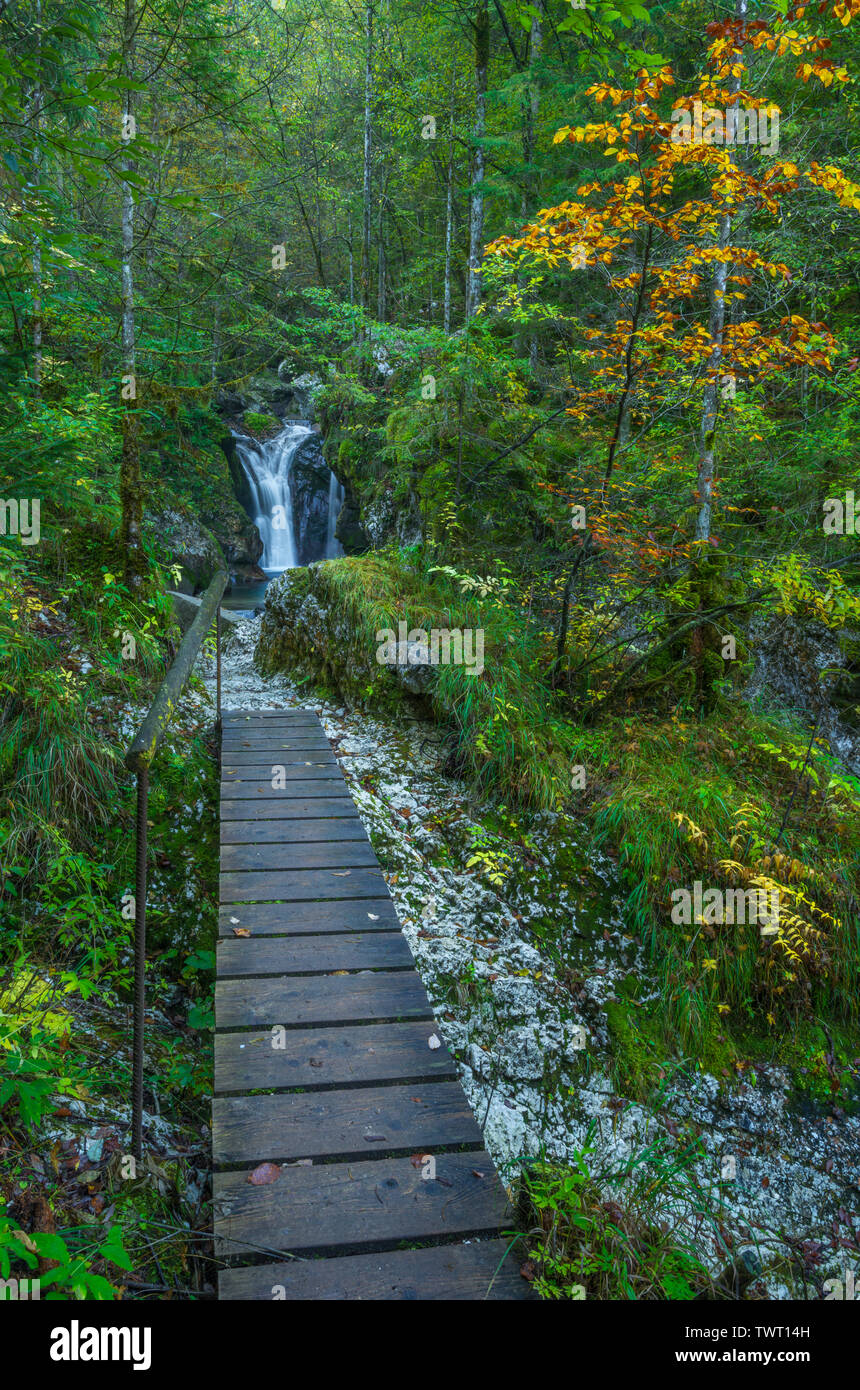 Wooden boardwalk leading to a waterfall. Mossy vegetation in fall, autumn foliage in the Slovenian forests. Stock Photo