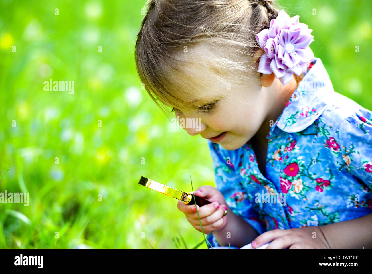 The child explores the grass in the meadow through a magnifying glass. Little girl exploring the flower through the magnifying glass outdoors. Stock Photo
