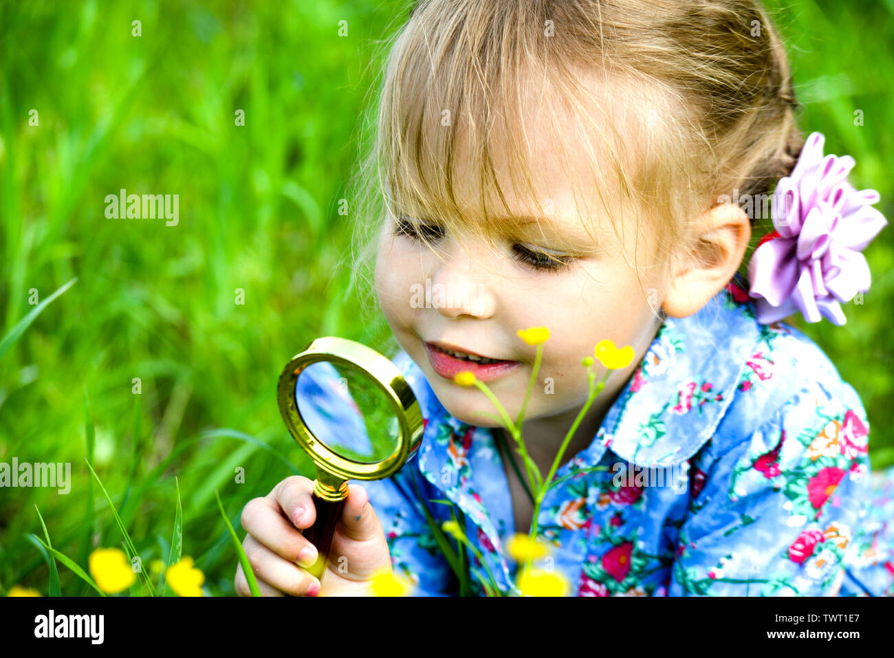 The child explores the grass in the meadow through a magnifying glass. Little girl exploring the flower through the magnifying glass outdoors. Stock Photo