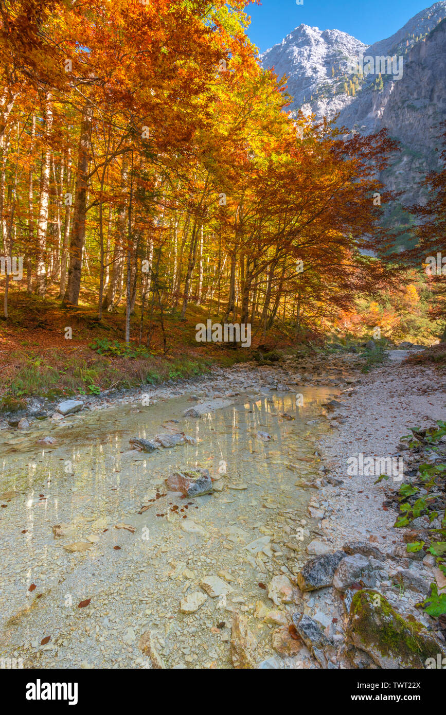 Slovenian Alps framed by colorful autumn forest, trees reflected in water. Fall colours, autumn foliage in Slovenia. Peaceful forest walk. Stock Photo
