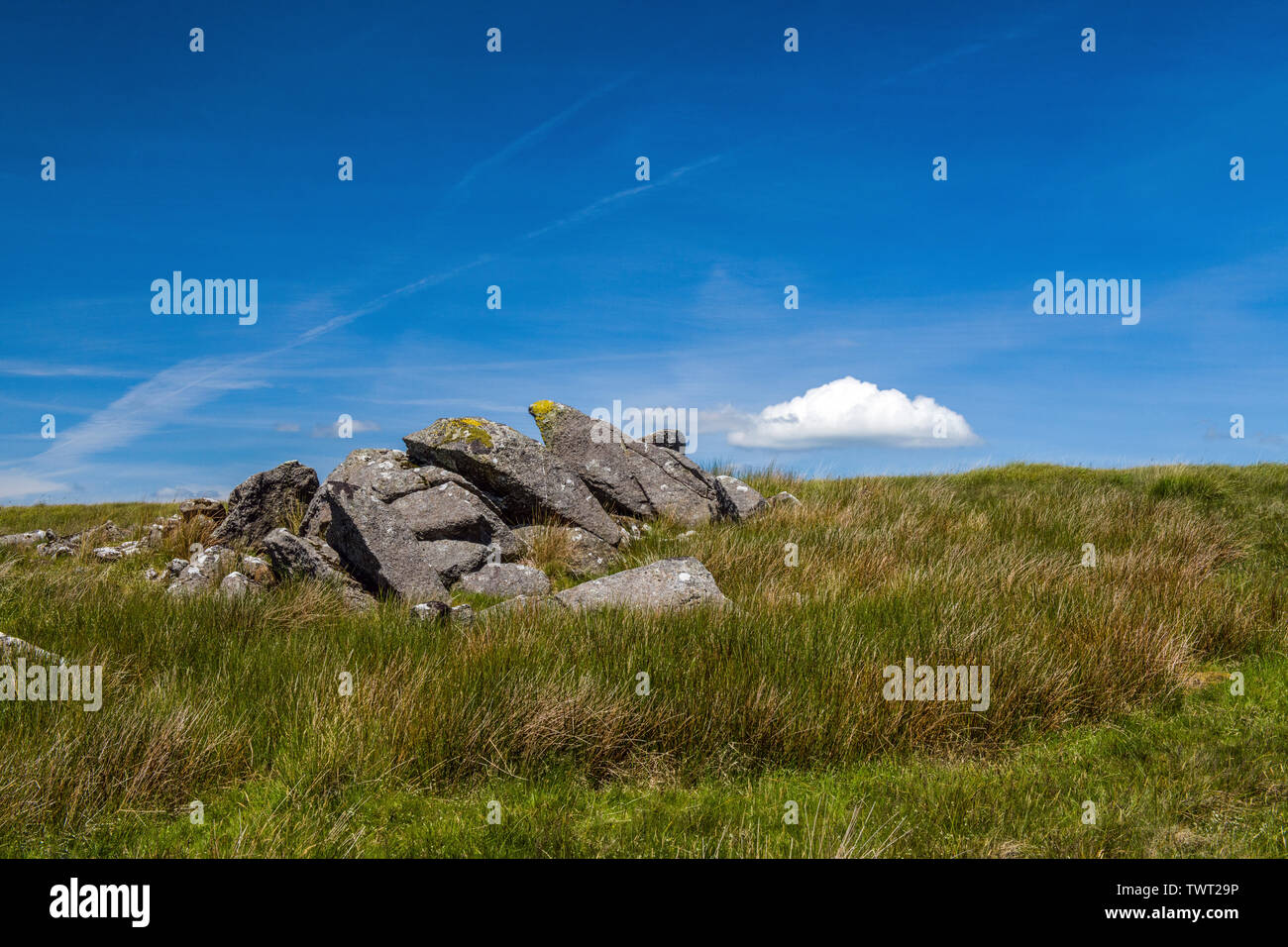 Bluestone rock outcrops on Carn Menyn in the Preseli Hills in north Pembrokeshire on a bright and sunny day. Stock Photo