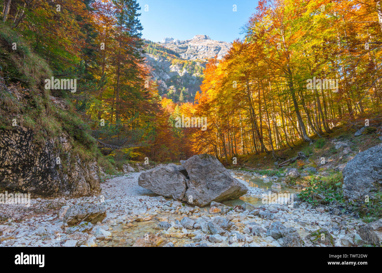 Views of the Slovenian Alps from a dry river bed in the autumn forest. Fall colours, foliage in October. Quiet hiking trail during season change. Stock Photo