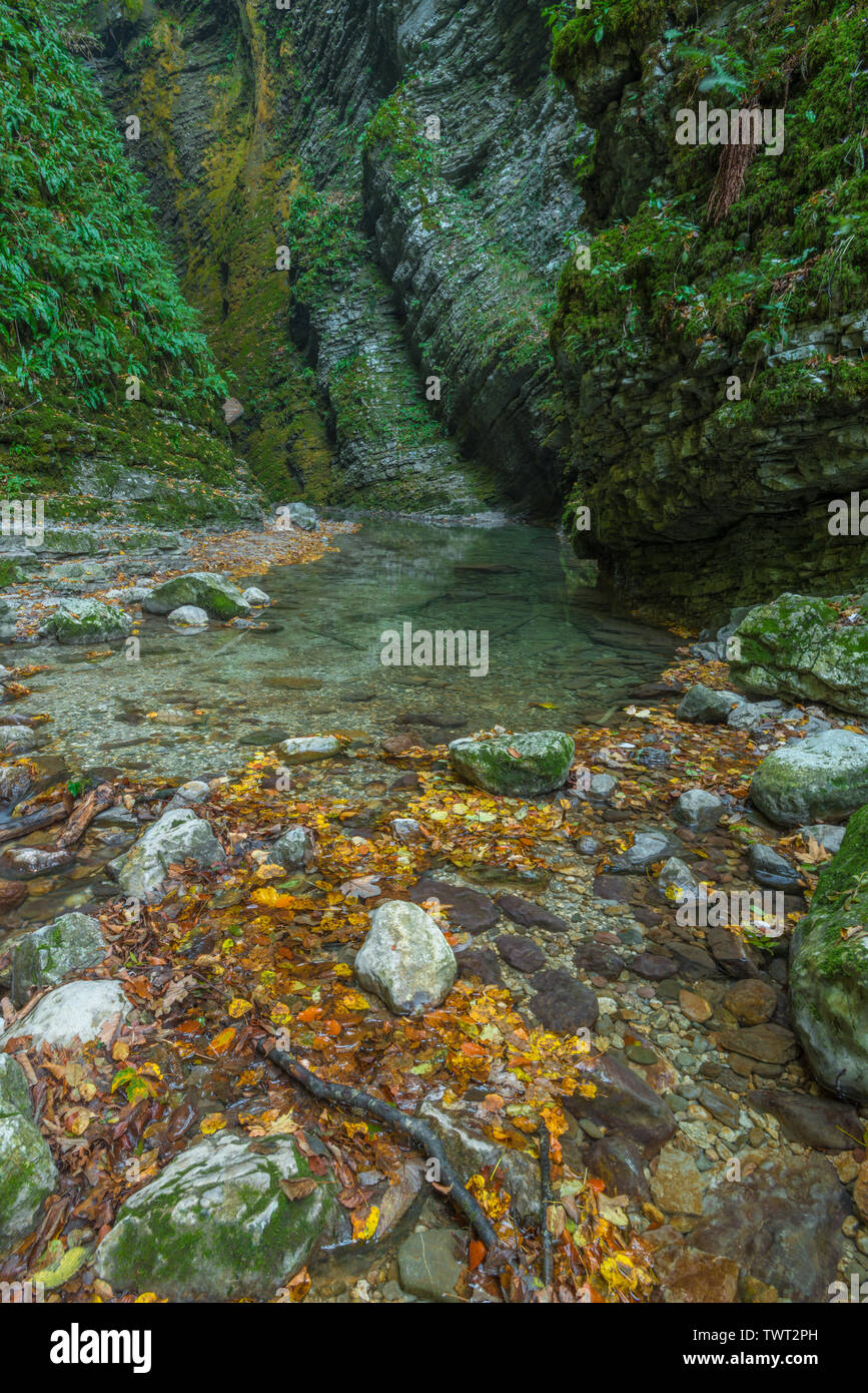 Mossy canyon walls with stratified rock, layered rock and a pristine creek with emerald water. Dead leaves from the autumn season change. Slovenia. Stock Photo
