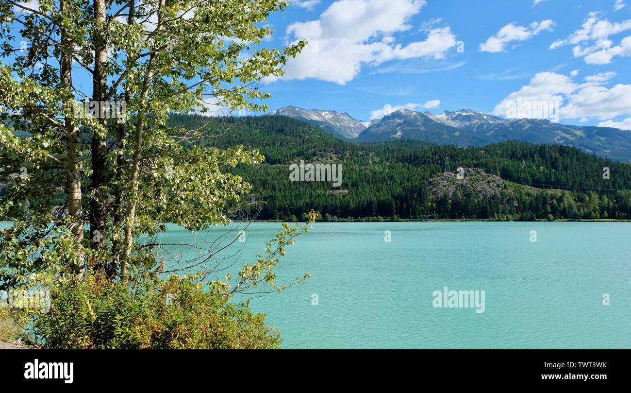 green tree in front of a turquoise lake right next to a mountain range Stock Photo