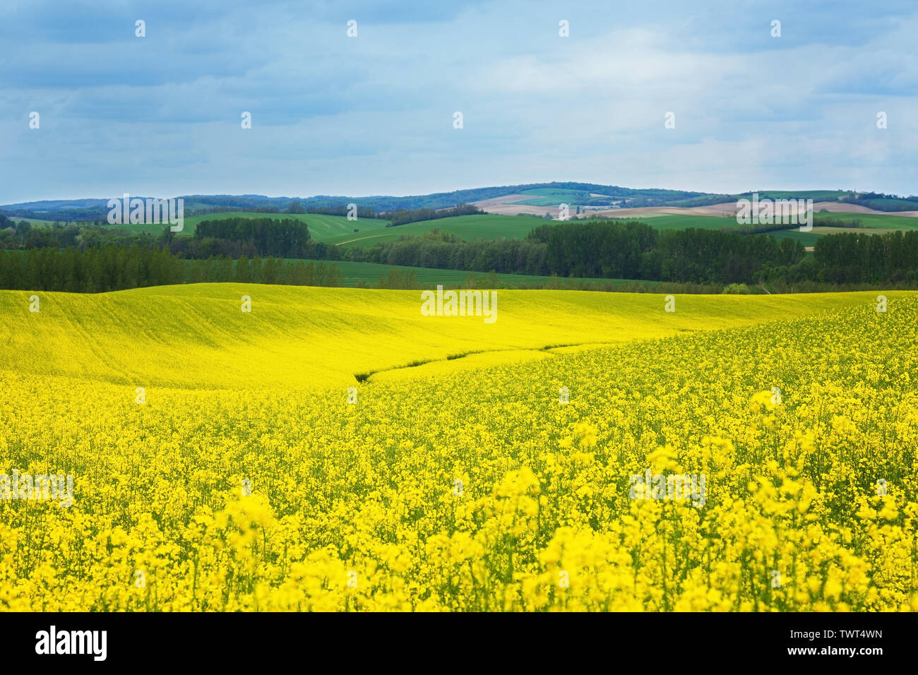 Rapeseed field and farmland hi-res stock photography and images - Alamy