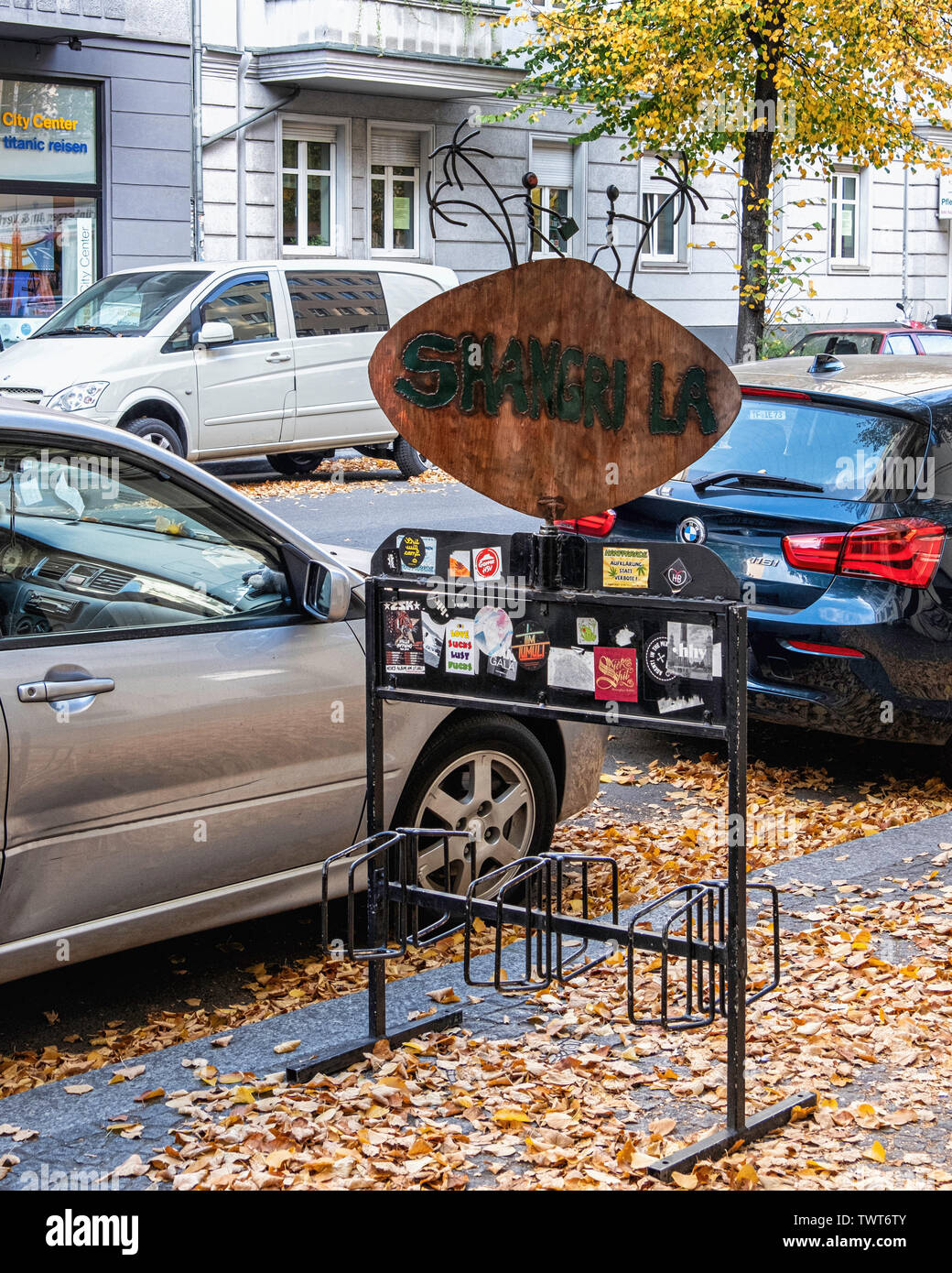 bicycle stand for car