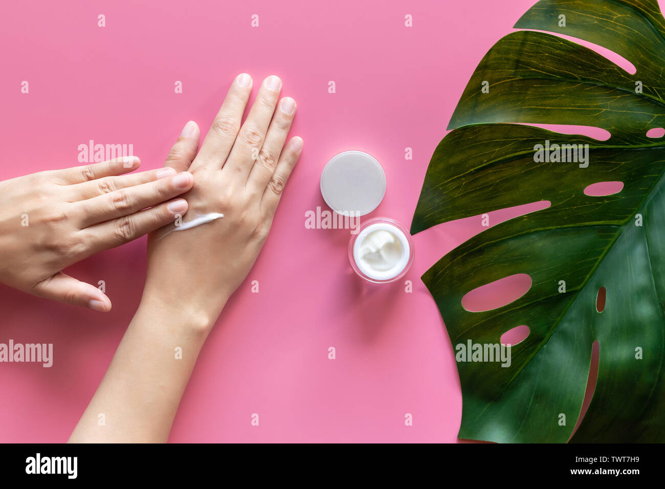 natural skincare concept. woman apply white cream on her hands on pink background with jar of cosmetic cream decorate with fresh green leave with copy Stock Photo