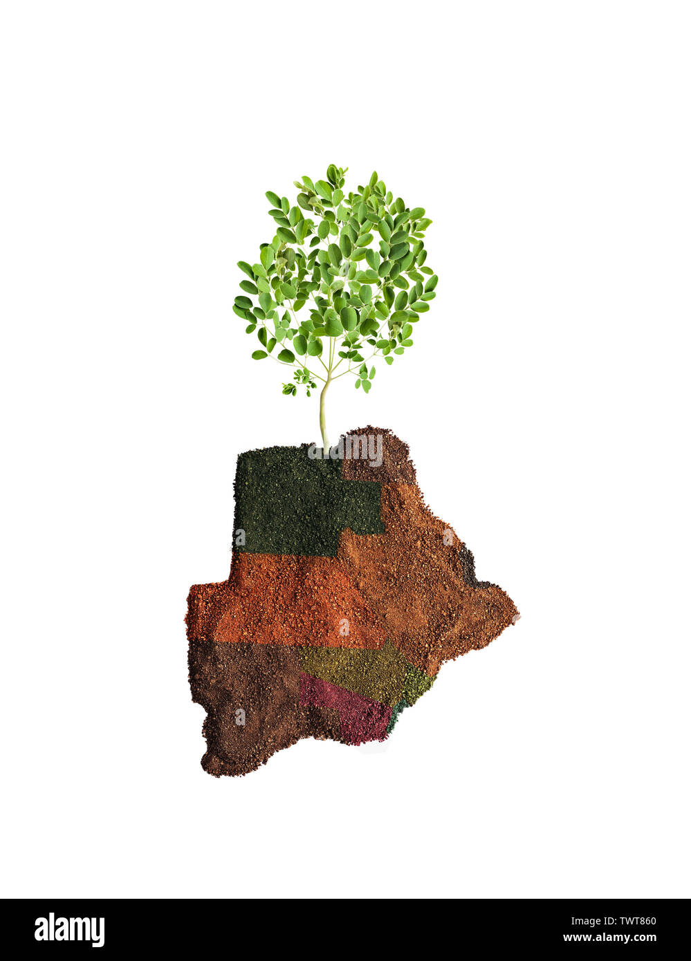 conceptual Botswana  map recycling or agriculture, growing a tree Stock Photo